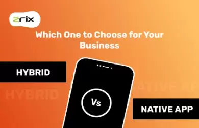 Choose For Your Business Hybrid VS Native App