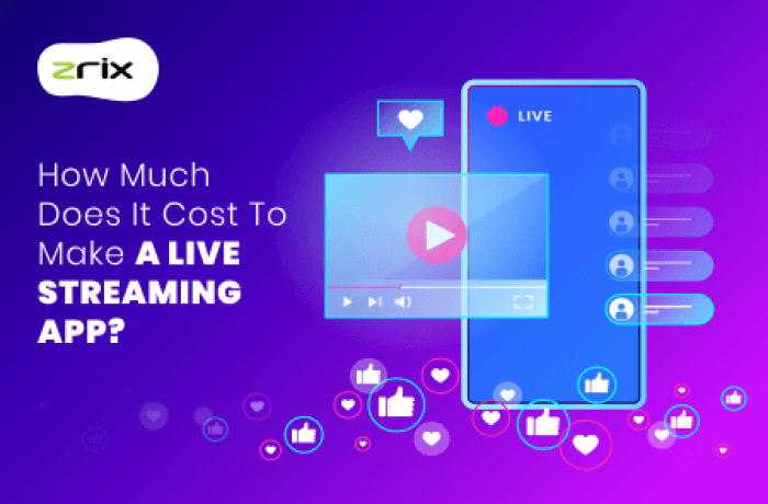 Cost to Make a Live Streaming App