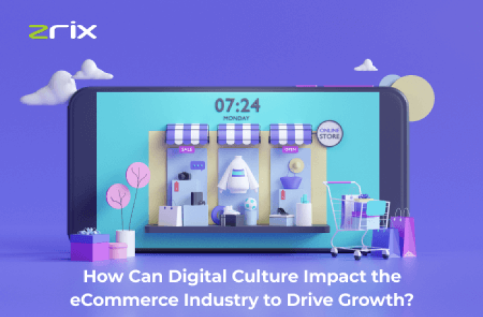 Digital Culture Impact the eCommerce Industry