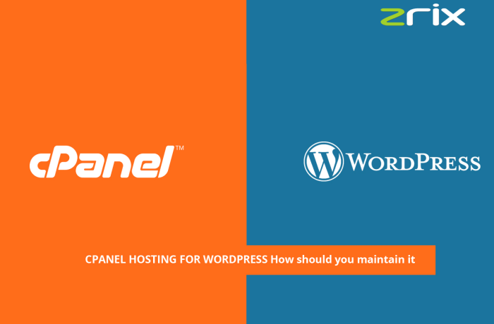 Cpanel Hosting for Wordpress