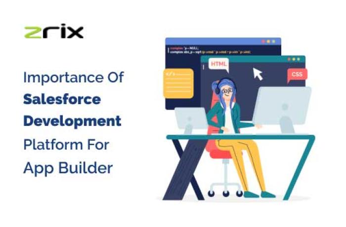Salesforce Development Platform For App Builder