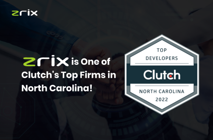 ZRIX is One of The Best Blockchain Developers